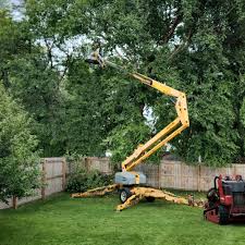 Best Seasonal Cleanup (Spring/Fall)  in Villa Park, CA