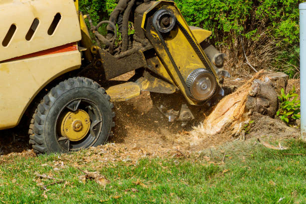 Grass Overseeding in Villa Park, CA